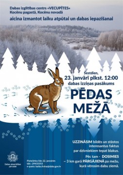 plakats_pedas_sniega